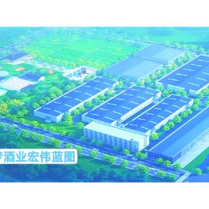 企业展示